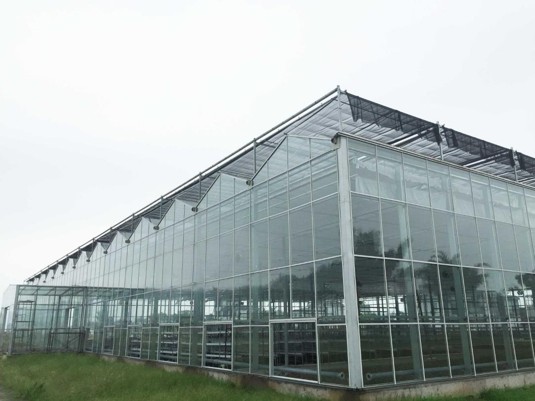 文洛温室展示