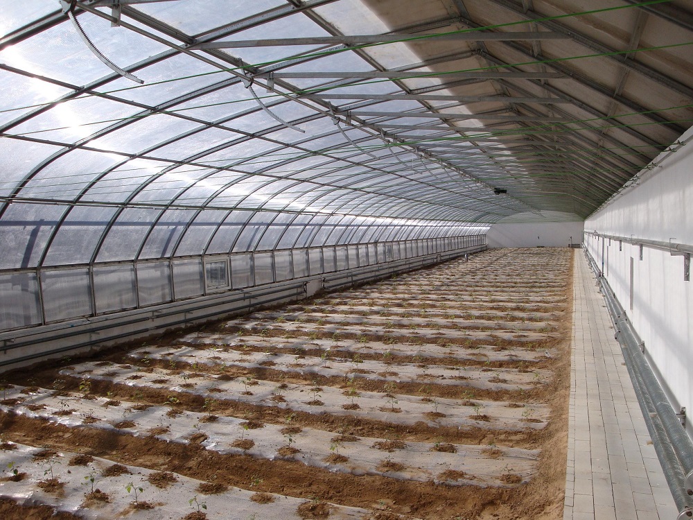 温室蔬菜种植测土施肥技术是什么？