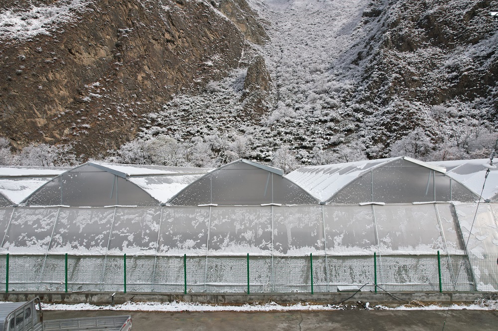 冬季，蔬菜大棚连续遇到雨雪天气该怎么办？